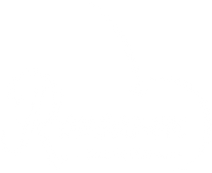 Ronsaron